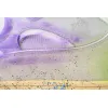 Bstsneaker- Lanvin Leather Curb Gallery Dept Skin Version FM-SKRK11-DRGD-E21 
