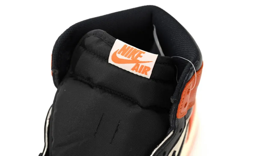 Bstsneaker- Air Jordan 1 Retro Shattered Backboard 555088-005 