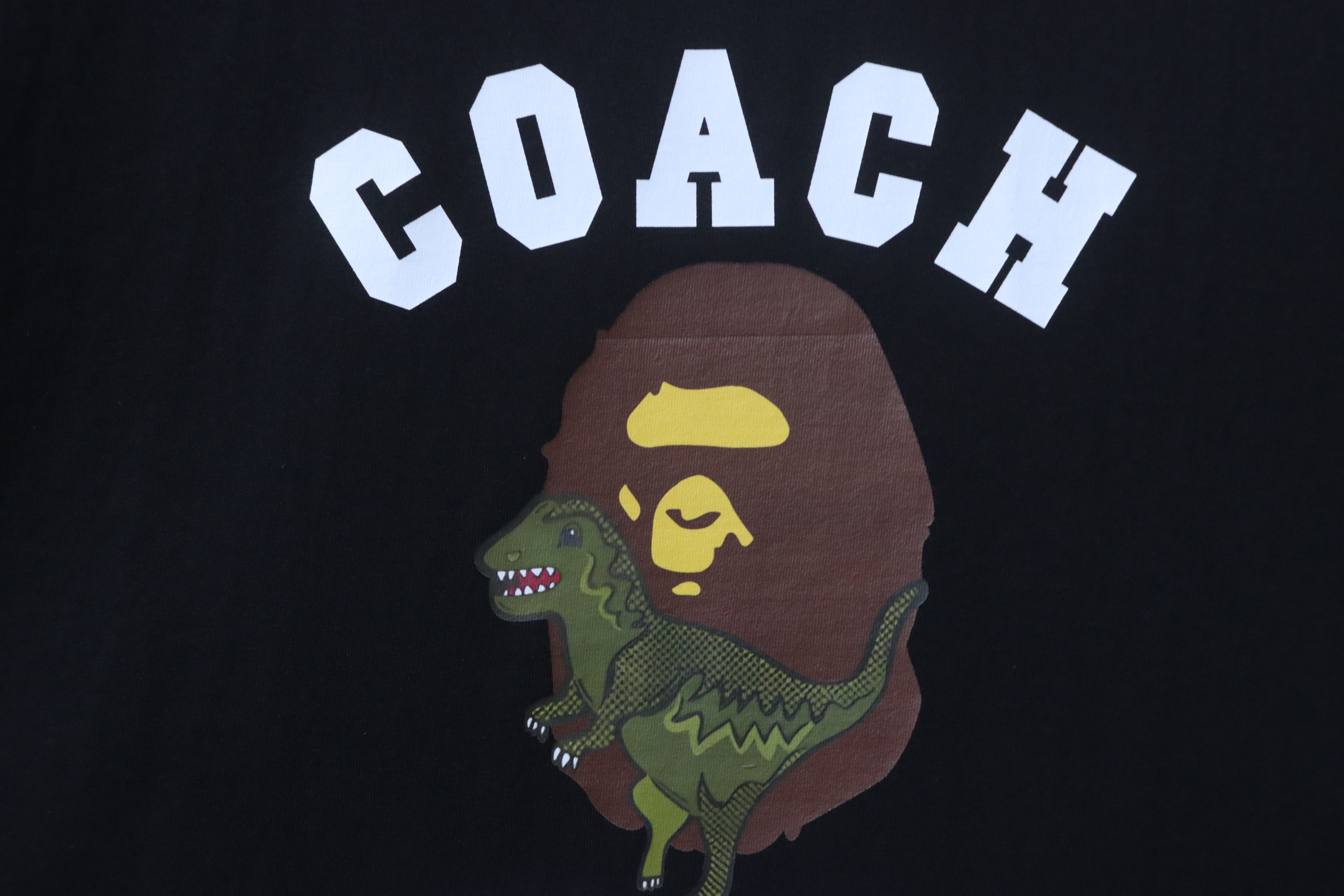 Bstsneaker- Bape X Coach T-shirt 140
