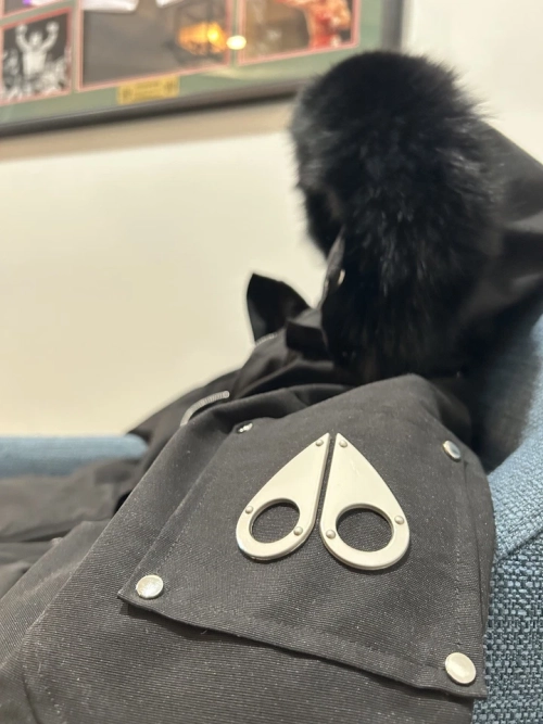 Bstsneaker-Moose Knuckles Original Ballistic Bomber Black review 