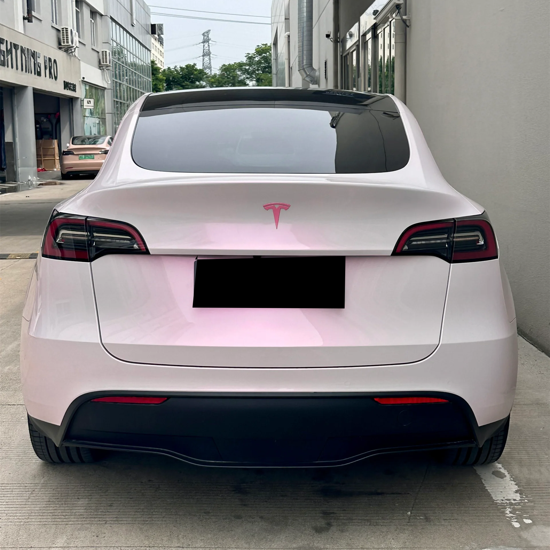 Glossy Flower Yue Fen Vinyl Car Wrap K-1101