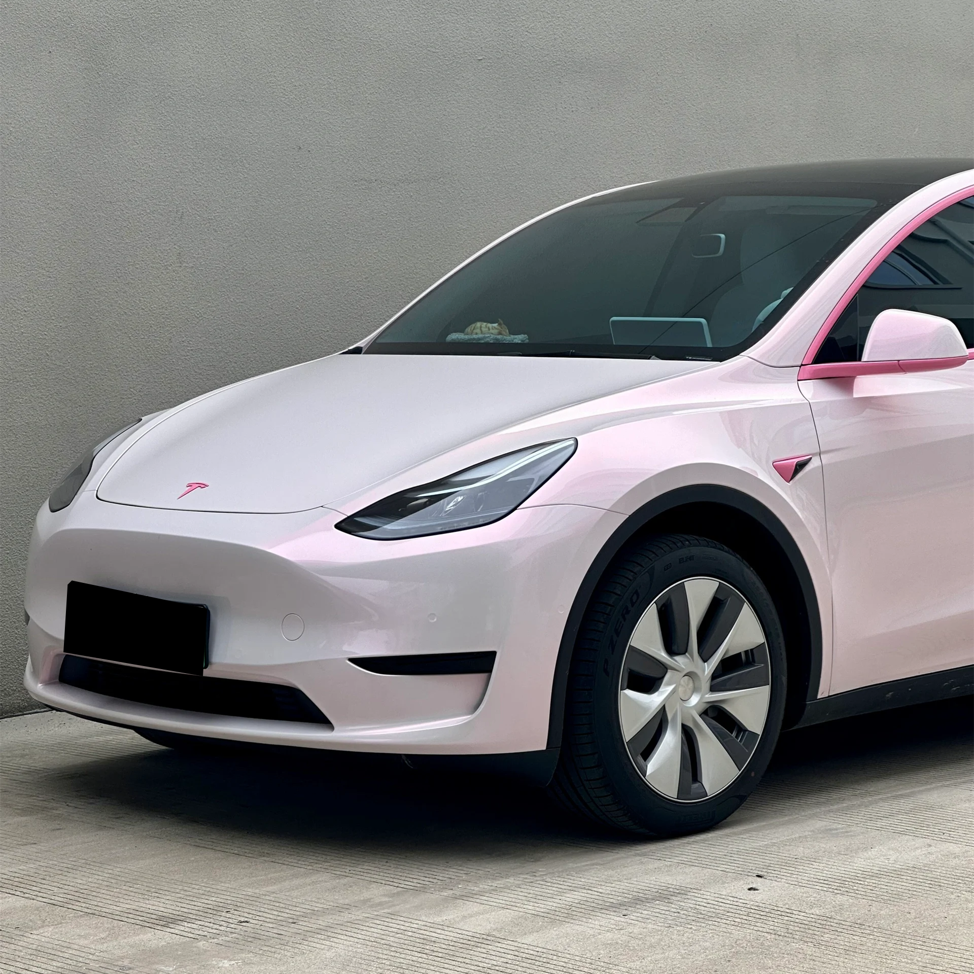 Glossy Flower Yue Fen Vinyl Car Wrap K-1101