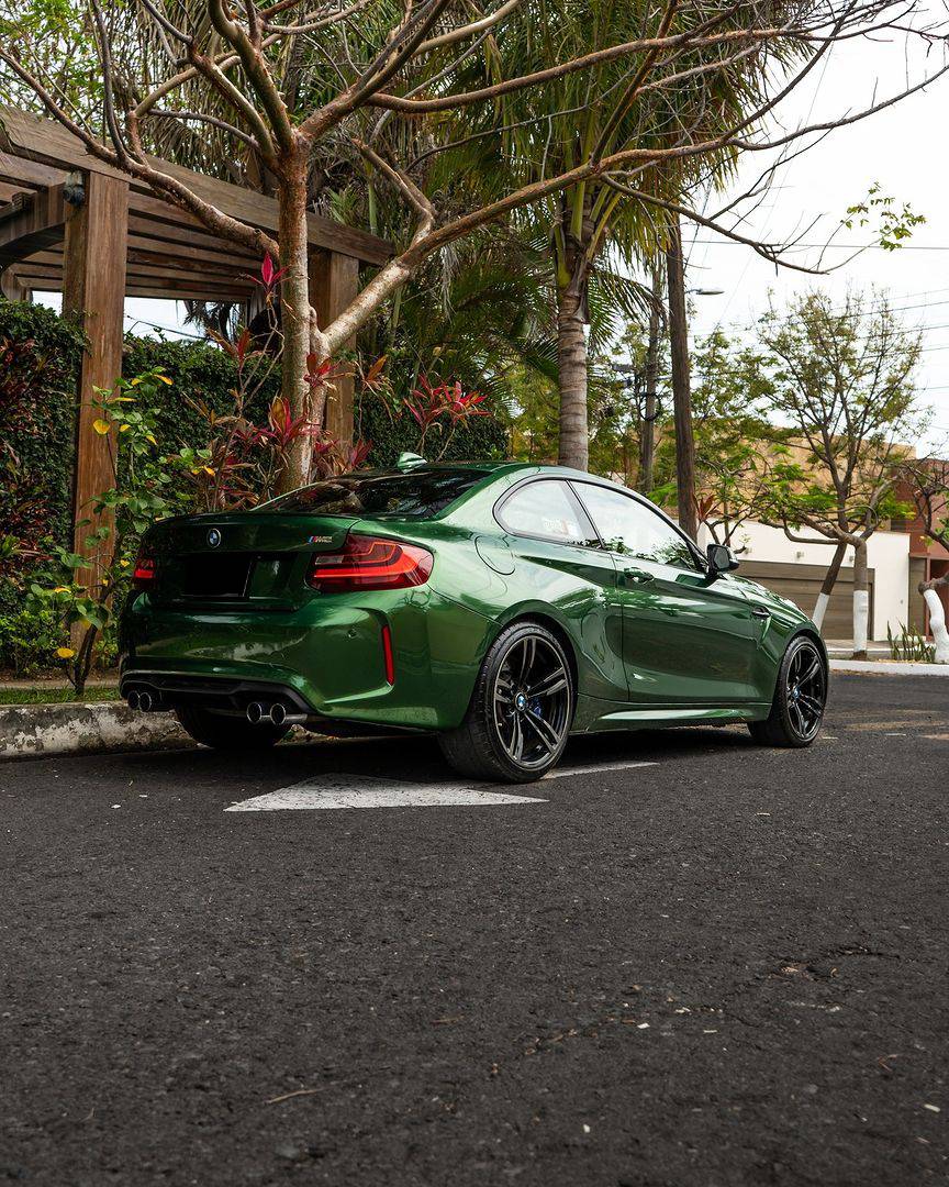 Glossy Sonoma Green Vinyl Car Wrap K-6016 review tnyhhni