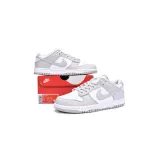 LJR Dunk SB Low Retro Grey,DD1391-103