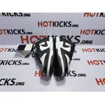 LJR Dunk SB Low Retro White Black (2021), DD1391-100