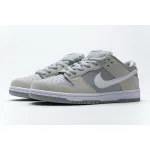 LJR Dunk SB Low Summit White Wolf Grey, AR0778-110