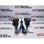 LJR Jordan 11 Retro Space Jam (2016), 378037-003