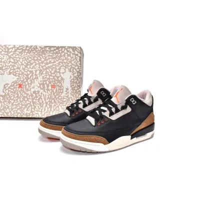 LJR Jordan 3 Retro Desert Elephant,CT8532-008 02