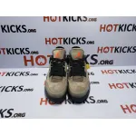 LJR Jordan 4 Retro Taupe Haze,DB0732-200