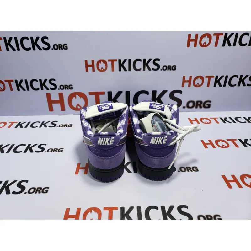 OG Dunk SB Low Concepts Purple Lobster, BV1310-555