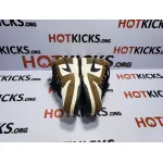 OG Dunk SB Low White Black Trail End Brown, 304292-102