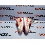 LJR Dunk Low StrangeLove Skateboards  ， CT2552-800
