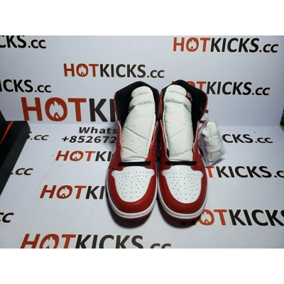 LJR Jordan 1 Retro Chicago (2015)，555088-101  02