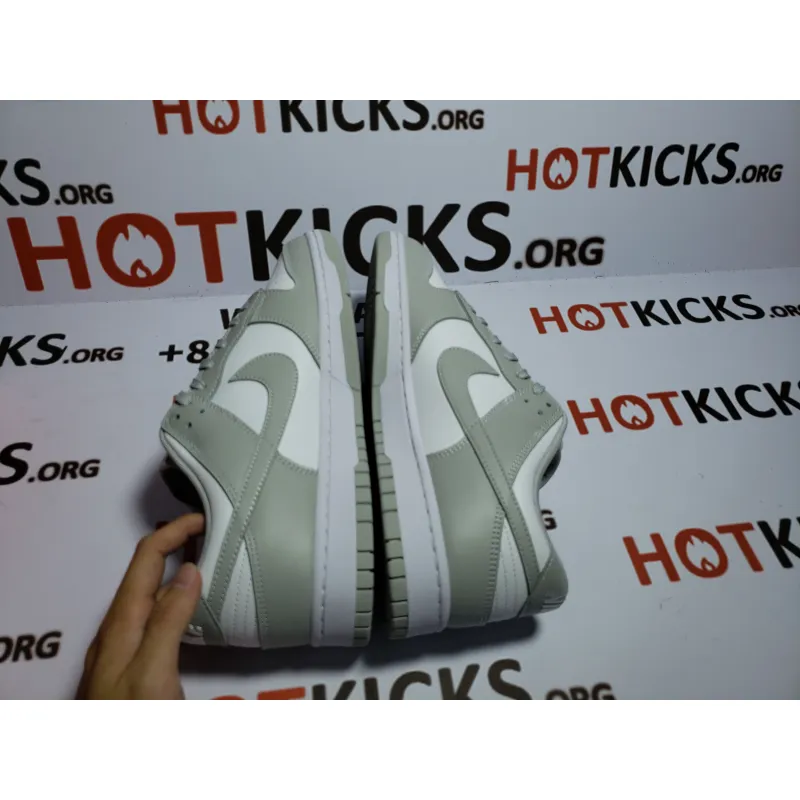 LJR Dunk SB Low Retro Grey,DD1391-103