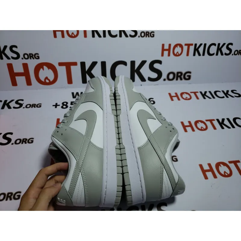 LJR Dunk SB Low Retro Grey,DD1391-103