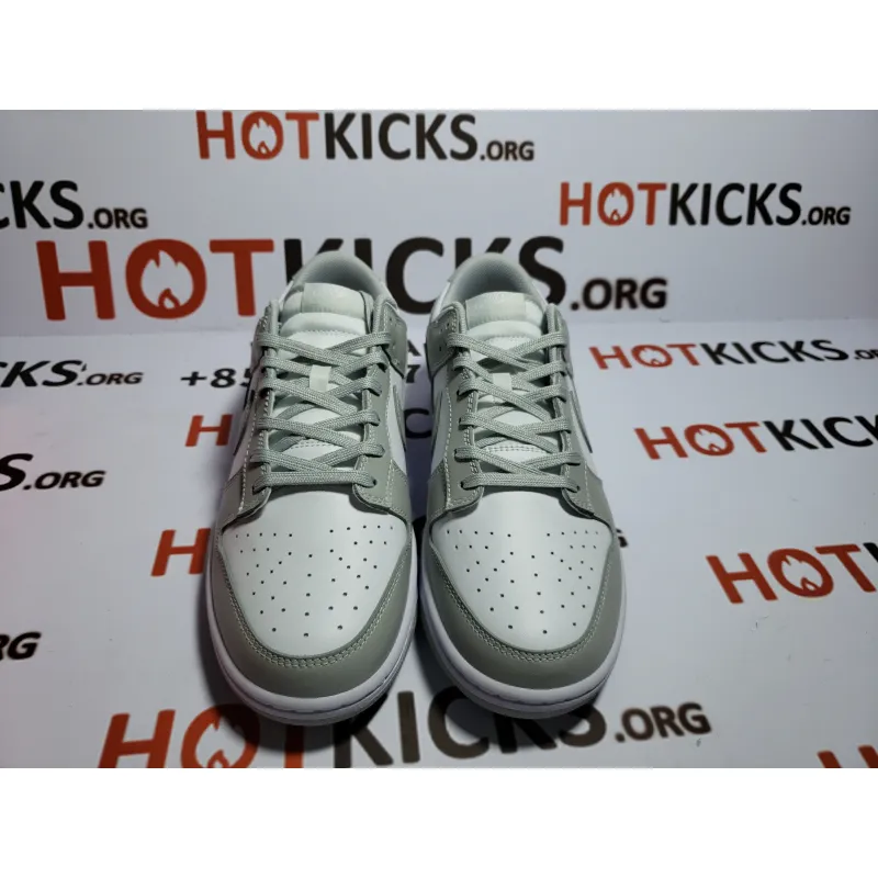 LJR Dunk SB Low Retro Grey,DD1391-103