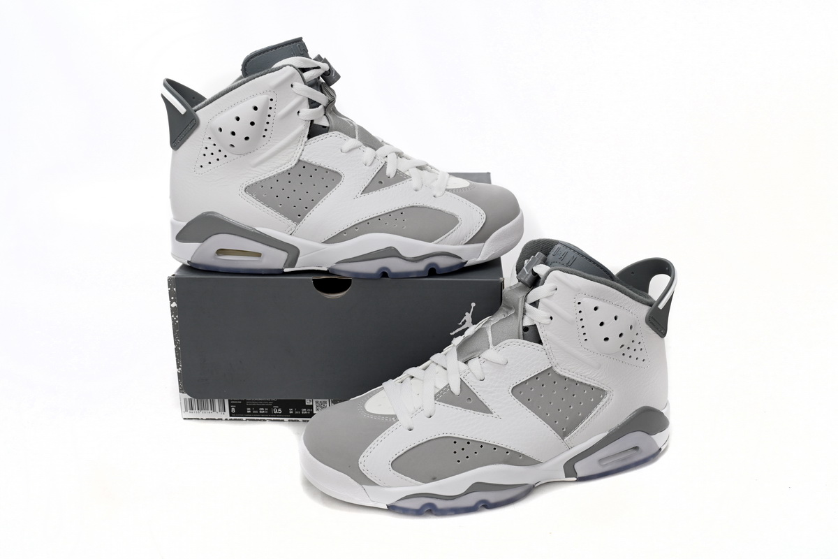 LJR Jordan 6 Retro Cool Grey,CT8529-100
