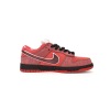 LJR Dunk Low Concepts Red Lobster