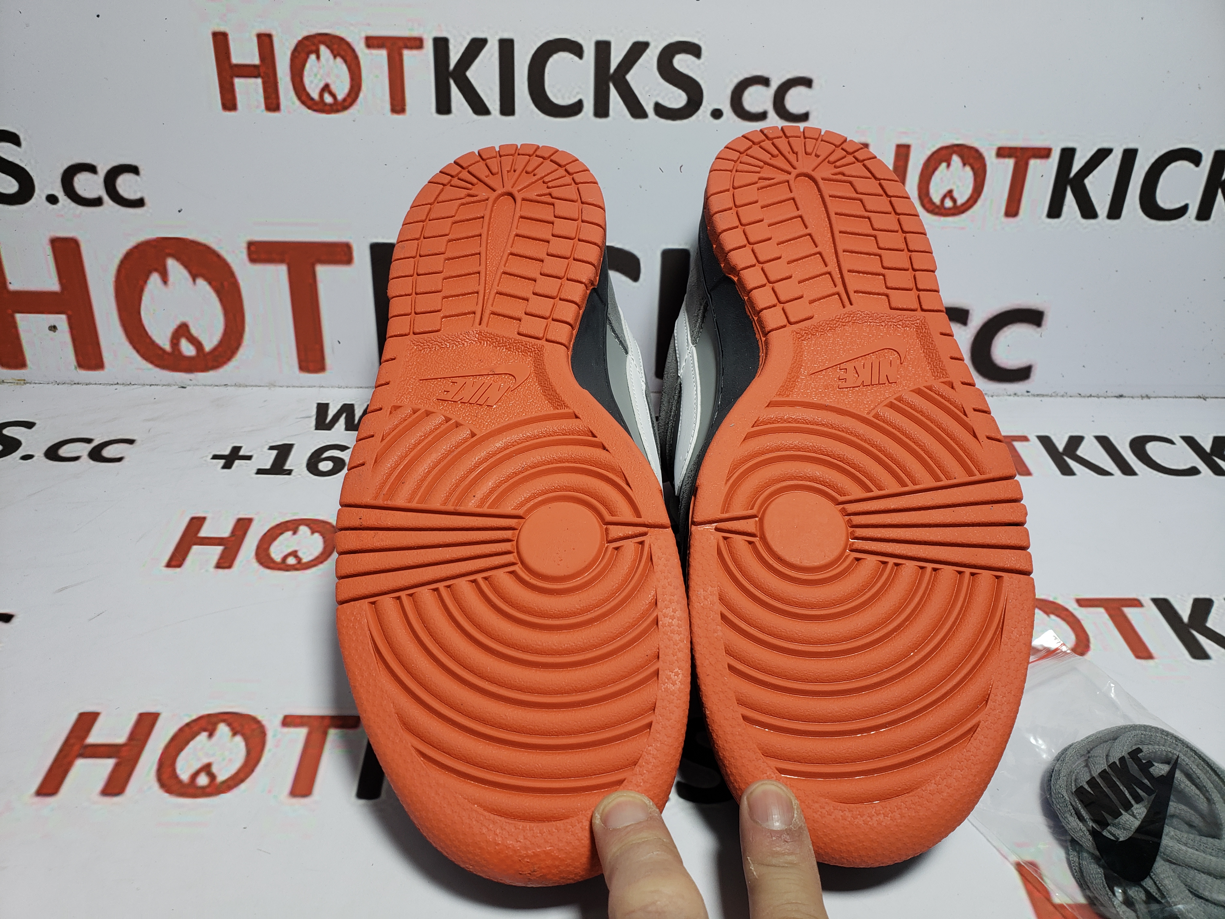 LJR Dunk Low Staple NYC Pigeon,304292-011