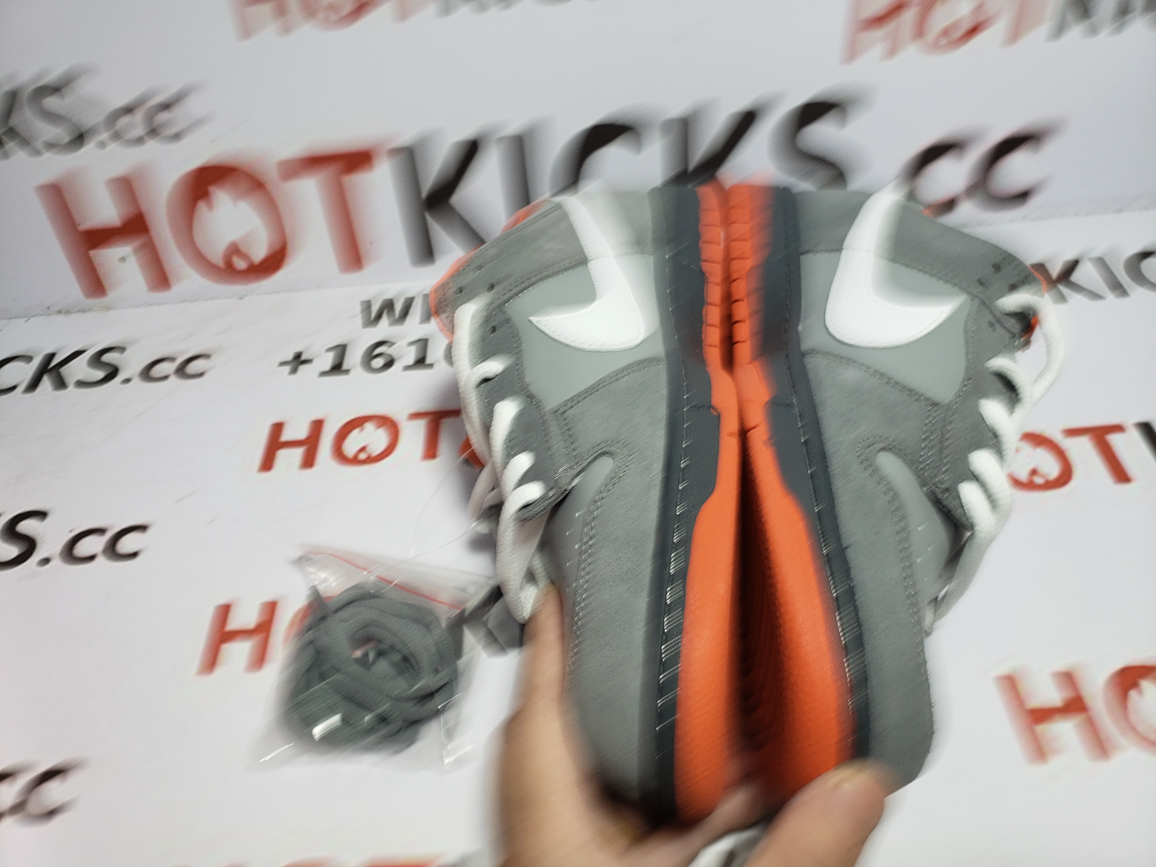 LJR Dunk Low Staple NYC Pigeon,304292-011