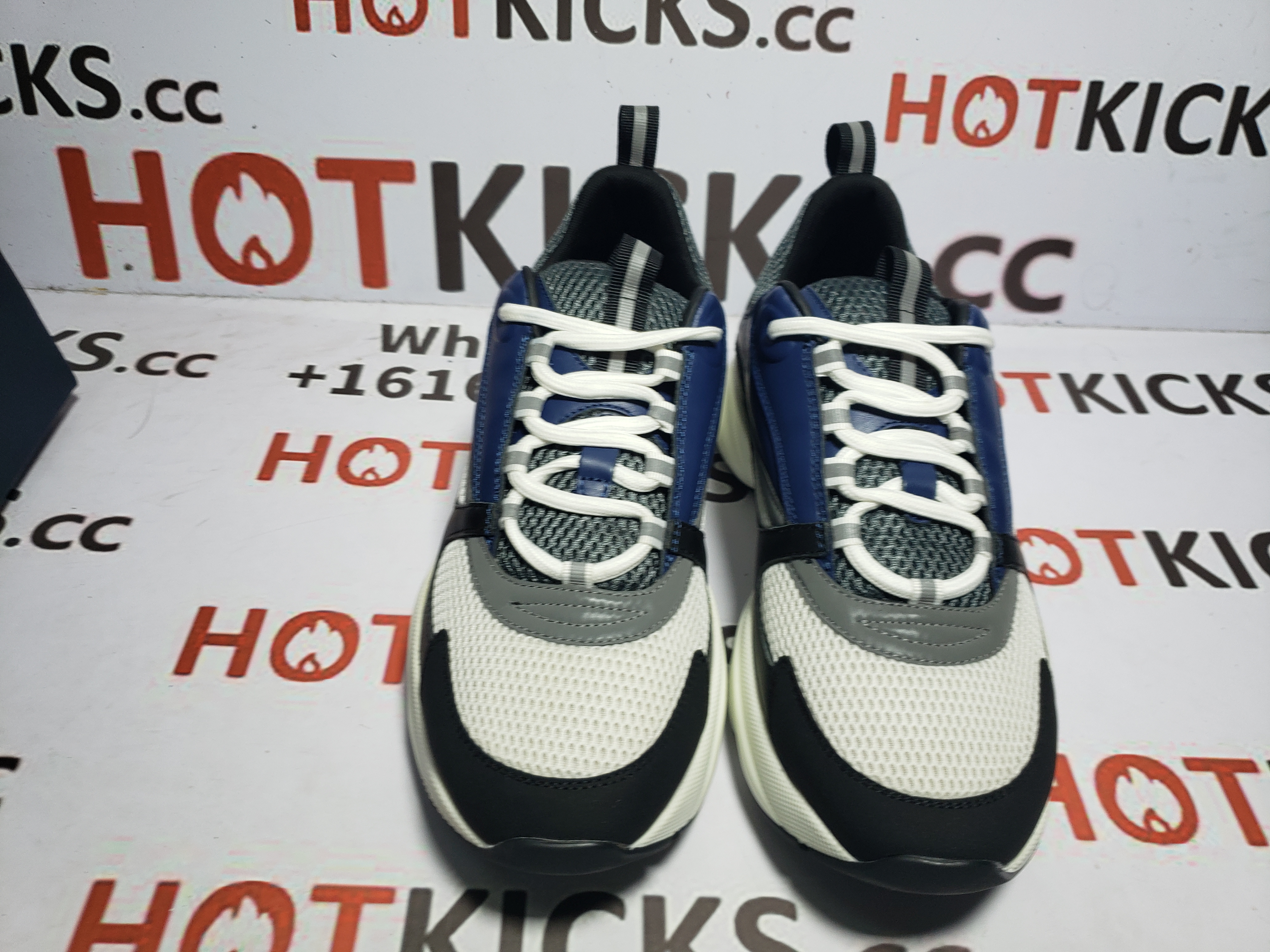 LJR Dior B22 Sneakers White Blue 3SN231YXX_H865