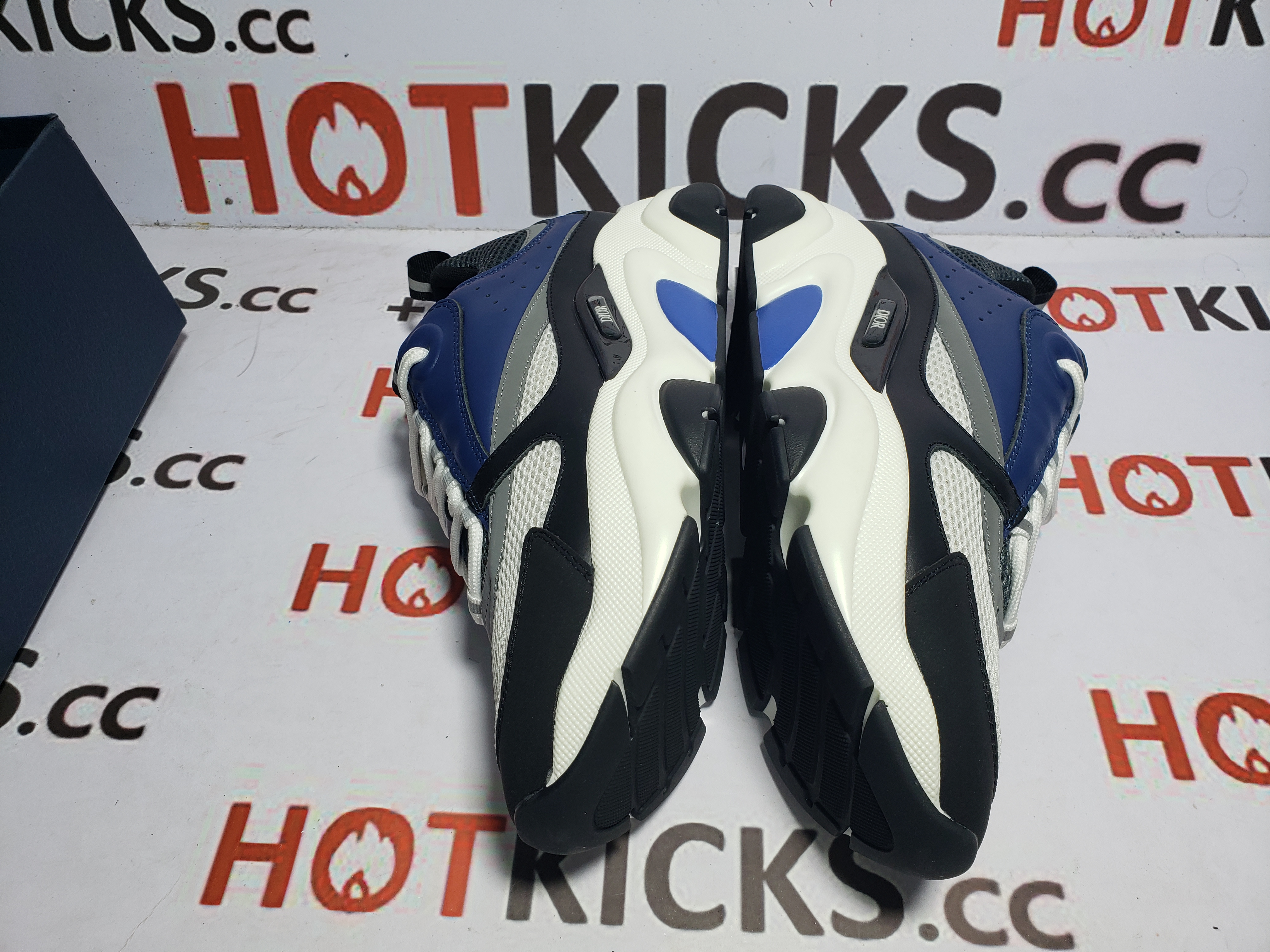 LJR Dior B22 Sneakers White Blue 3SN231YXX_H865