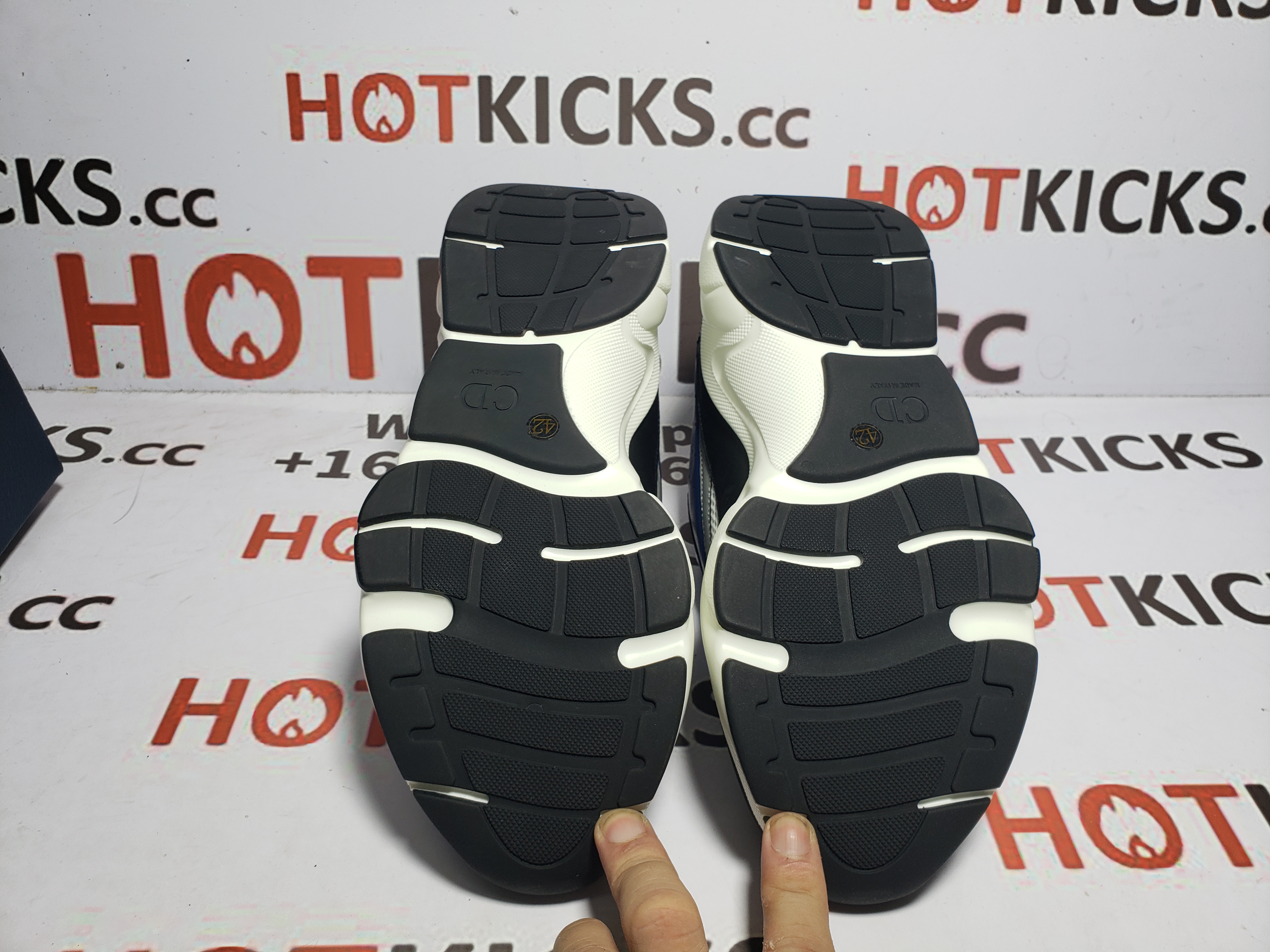 LJR Dior B22 Sneakers White Blue 3SN231YXX_H865