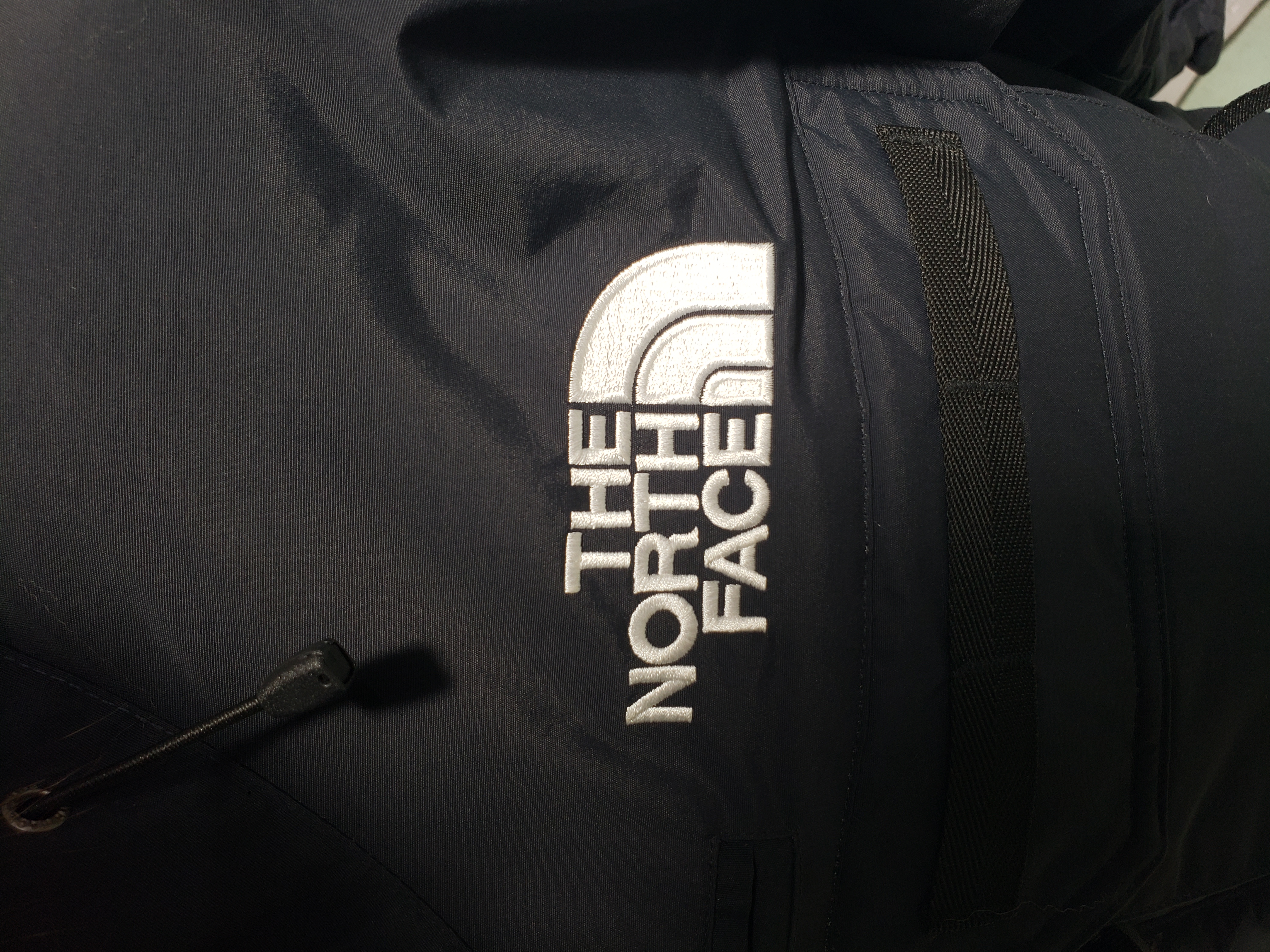 The North Face Japan Limited GORE-TEX polar Down Jacket