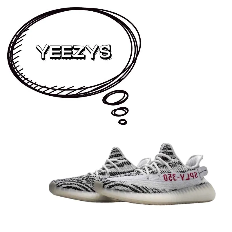 HOTKICKS Yeezy Customer Review