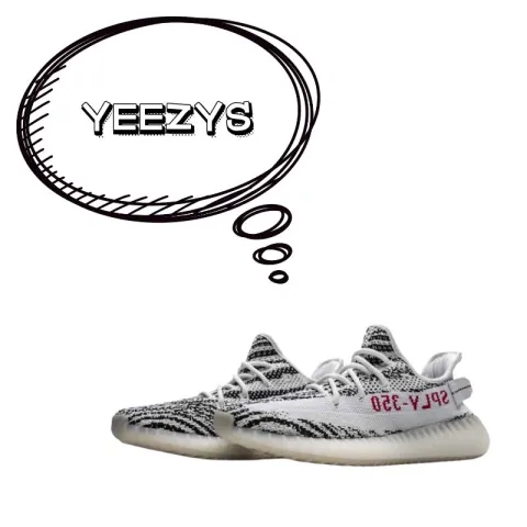 HOTKICKS Yeezy Customer Review