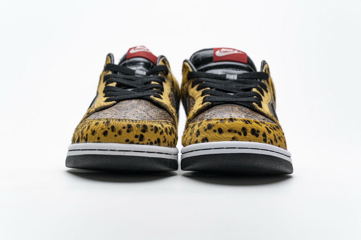  Nike Dunk Low Beast Pack 312919-001 [Better Version]