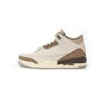 Air Jordan 3 Retro Palomino CT8532-102