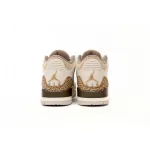 Air Jordan 3 Retro Palomino CT8532-102