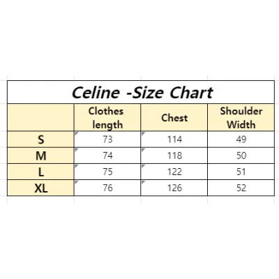 Celine T-shirt 26 02