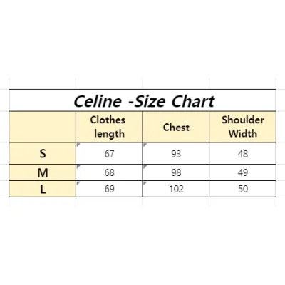 Celine T-shirt 24 02