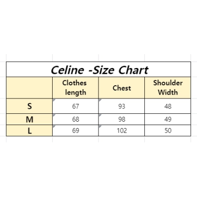 Celine T-shirt 24 02
