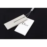  Dior T-shirt 202584