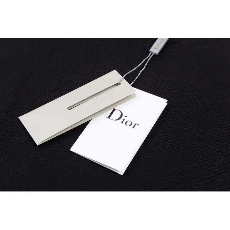  Dior T-shirt 202584