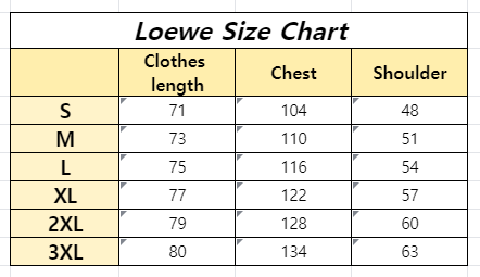  Loewe T-shirt 205289
