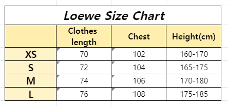 Loewe T-shirt 202554