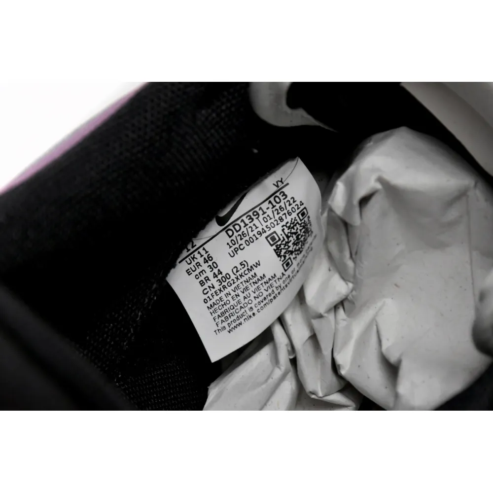   Nike AE86 Dunk  DD1391-103