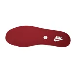  Nike Dunk Low PRM 'Team Red' FJ4555-100