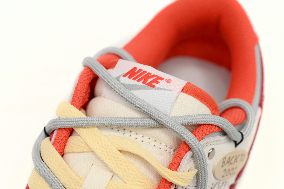Nike Dunk Low Roaming Plan FJ5429-133