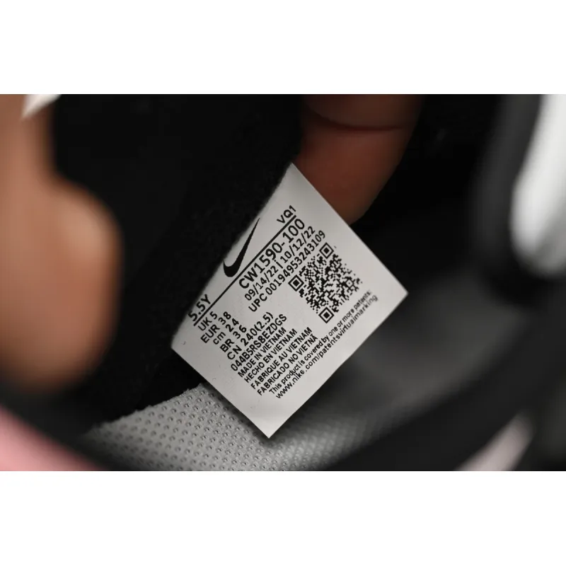  Nike Dunk Low Tokyo Raspberry CW1503-100