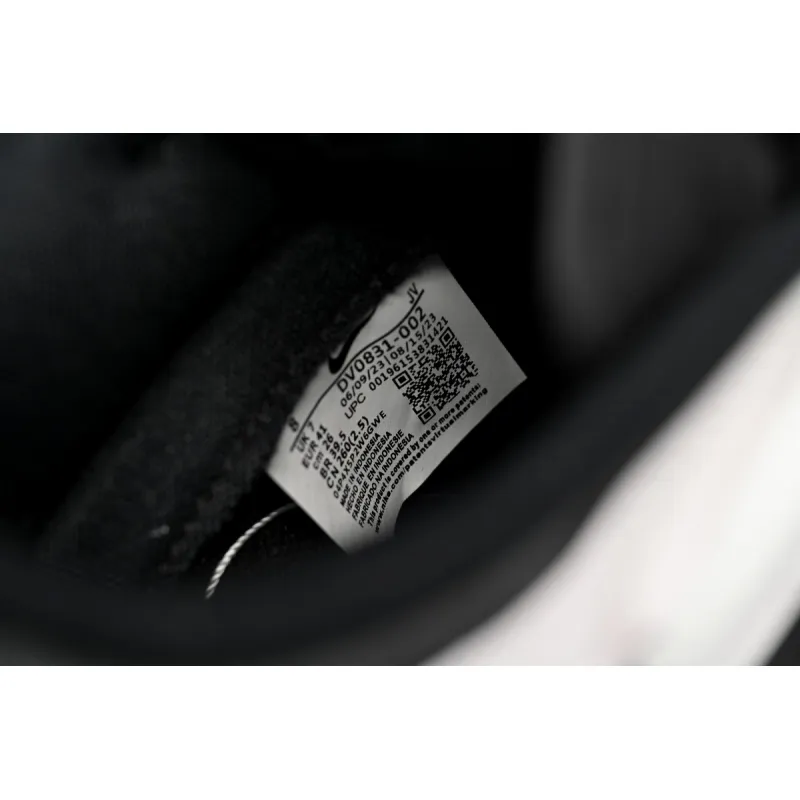  Nike Dunk Low Youye Messenger DV0831-002