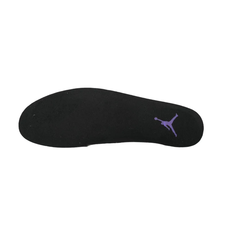Air Jordan 12 Retro Field Purple CT8013-057
