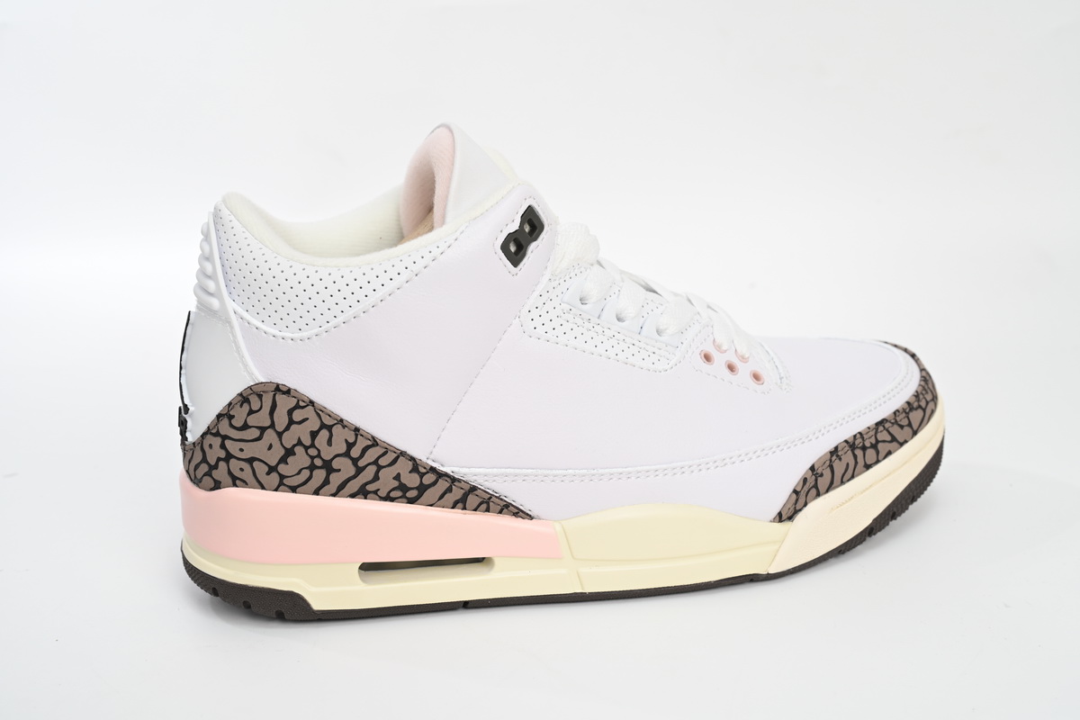 Air Jordan 3 Retro Neapolitan Dark Mocha (Women