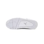 Air Jordan 4 Retro Pure Money (2017)  308497-100