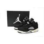 Air Jordan 5 Retro Moonlight (2021) CT4838-011