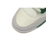 Jordan 4 Retro SB Pine Green DR5415-103